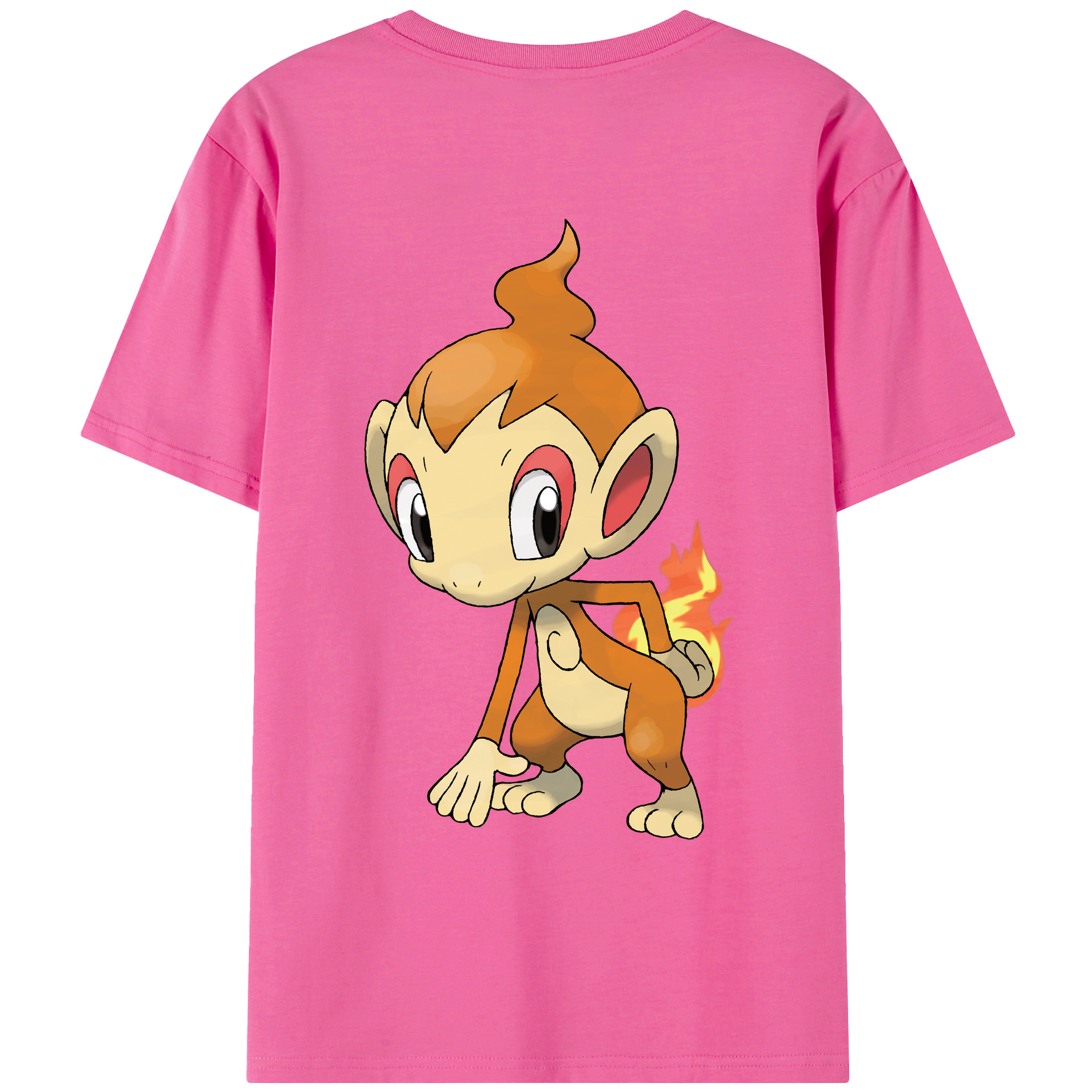 （画像用） ポケットモンスター Pokémon レディース半袖Tシャツ(バックプリント)